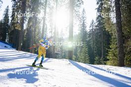 21.02.2021, Pokljuka, Slovenia (SLO): Martin Ponsiluoma (SWE) - IBU World Championships Biathlon, mass men, Pokljuka (SLO). www.nordicfocus.com. © Thibaut/NordicFocus. Every downloaded picture is fee-liable.