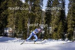 21.02.2021, Pokljuka, Slovenia (SLO): Lena Haecki (SUI) - IBU World Championships Biathlon, mass women, Pokljuka (SLO). www.nordicfocus.com. © Thibaut/NordicFocus. Every downloaded picture is fee-liable.