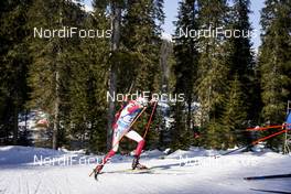 21.02.2021, Pokljuka, Slovenia (SLO): Monika Hojnisz-Starega (POL) - IBU World Championships Biathlon, mass women, Pokljuka (SLO). www.nordicfocus.com. © Thibaut/NordicFocus. Every downloaded picture is fee-liable.