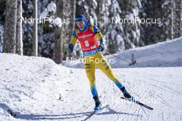 14.02.2021, Pokljuka, Slovenia (SLO): Sebastian Samuelsson (SWE) - IBU World Championships Biathlon, pursuit men, Pokljuka (SLO). www.nordicfocus.com. © Thibaut/NordicFocus. Every downloaded picture is fee-liable.