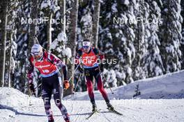 14.02.2021, Pokljuka, Slovenia (SLO): Tarjei Boe (NOR) - IBU World Championships Biathlon, pursuit men, Pokljuka (SLO). www.nordicfocus.com. © Thibaut/NordicFocus. Every downloaded picture is fee-liable.