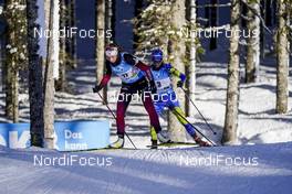 14.02.2021, Pokljuka, Slovenia (SLO): Ida Lien (NOR) - IBU World Championships Biathlon, pursuit women, Pokljuka (SLO). www.nordicfocus.com. © Thibaut/NordicFocus. Every downloaded picture is fee-liable.