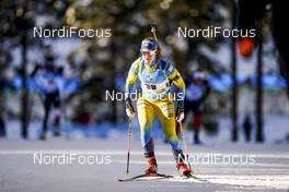 14.02.2021, Pokljuka, Slovenia (SLO): Mona Brorsson (SWE) - IBU World Championships Biathlon, pursuit women, Pokljuka (SLO). www.nordicfocus.com. © Thibaut/NordicFocus. Every downloaded picture is fee-liable.