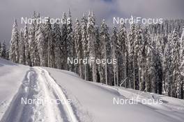 12.02.2021, Pokljuka, Slovenia (SLO): Tracks fuul of snow  - IBU World Championships Biathlon, training, Pokljuka (SLO). www.nordicfocus.com. © Thibaut/NordicFocus. Every downloaded picture is fee-liable.