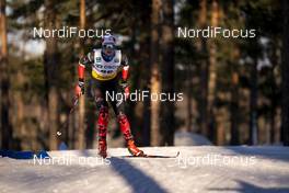 31.01.2021, Falun, Sweden (SWE): Maya Macisaac-Jones (CAN) - FIS world cup cross-country, individual sprint, Falun (SWE). www.nordicfocus.com. © Thibaut/NordicFocus. Every downloaded picture is fee-liable.