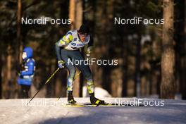 31.01.2021, Falun, Sweden (SWE): Michael Foettinger (AUT) - FIS world cup cross-country, individual sprint, Falun (SWE). www.nordicfocus.com. © Thibaut/NordicFocus. Every downloaded picture is fee-liable.