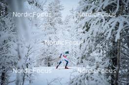 28.11.2021, Ruka, Finland (FIN): Calle Halfvarsson (SWE) - FIS world cup cross-country, pursuit men, Ruka (FIN). www.nordicfocus.com. © Modica/NordicFocus. Every downloaded picture is fee-liable.
