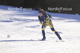 21.01.2022, Antholz, Italy (ITA): Mona Brorsson (SWE) - IBU World Cup Biathlon, individual women, Antholz (ITA). www.nordicfocus.com. © Manzoni/NordicFocus. Every downloaded picture is fee-liable.
