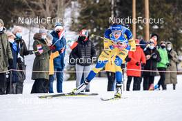 11.03.2022, Otepaeae, Estonia (EST): Hanna Oeberg (SWE) - IBU World Cup Biathlon, sprint women, Estonia (EST). www.nordicfocus.com. © Manzoni/NordicFocus. Every downloaded picture is fee-liable.