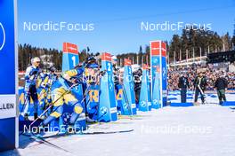 19.03.2022, Oslo, Norway (NOR): Elvira Oeberg (SWE) - IBU World Cup Biathlon, pursuit women, Oslo (NOR). www.nordicfocus.com. © Manzoni/NordicFocus. Every downloaded picture is fee-liable.