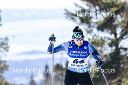 18.03.2022, Oslo, Norway (NOR): Jillian Wei-Lin Colebourn (AUS) - IBU World Cup Biathlon, sprint women, Oslo (NOR). www.nordicfocus.com. © Manzoni/NordicFocus. Every downloaded picture is fee-liable.