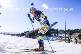 18.03.2022, Oslo, Norway (NOR): Stina Nilsson (SWE) - IBU World Cup Biathlon, sprint women, Oslo (NOR). www.nordicfocus.com. © Manzoni/NordicFocus. Every downloaded picture is fee-liable.