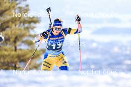 18.03.2022, Oslo, Norway (NOR): Elvira Oeberg (SWE) - IBU World Cup Biathlon, sprint women, Oslo (NOR). www.nordicfocus.com. © Manzoni/NordicFocus. Every downloaded picture is fee-liable.