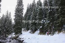 08.11.2022, Davos, Switzerland (SUI): Niklas Hartweg (SUI) - Biathlon training, Snowfarming track, Davos (SUI). www.nordicfocus.com. © Manzoni/NordicFocus. Every downloaded picture is fee-liable.