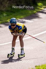 10.09.2022, Lavaze, Italy (ITA): Tilda Johansson (SWE) - Biathlon summer training, Lavaze (ITA). www.nordicfocus.com. © Barbieri/NordicFocus. Every downloaded picture is fee-liable.