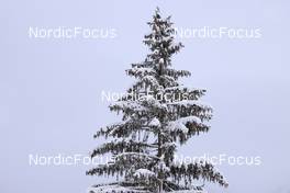 11.12.2022, Hochfilzen, Austria (AUT): Event Feature: a snowy christmas tree -  IBU World Cup Biathlon, pursuit men, Hochfilzen (AUT). www.nordicfocus.com. © Manzoni/NordicFocus. Every downloaded picture is fee-liable.