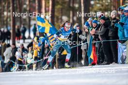 12.03.2022, Falun, Sweden (SWE): Moa Lundgren (SWE) - FIS world cup cross-country, 10km women, Falun (SWE). www.nordicfocus.com. © Modica/NordicFocus. Every downloaded picture is fee-liable.