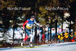 11.03.2022, Falun, Sweden (SWE): Heidi Weng (NOR) - FIS world cup cross-country, individual sprint, Falun (SWE). www.nordicfocus.com. © Modica/NordicFocus. Every downloaded picture is fee-liable.