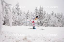27.11.2022, Ruka, Finland (FIN): Masako Ishida (JPN) - FIS world cup cross-country, pursuit, Ruka (FIN). www.nordicfocus.com. © Modica/NordicFocus. Every downloaded picture is fee-liable.