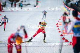 06.03.2022, Oslo, Norway (NOR): Johannes Lamparter (AUT), Johannes Lamparter (AUT) - FIS world cup nordic combined, individual gundersen HS134/10km, Oslo (NOR). www.nordicfocus.com. © Modica/NordicFocus. Every downloaded picture is fee-liable.