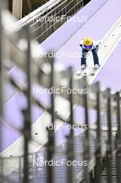 04.11.2022, Wisla, Poland (POL): Jenny Rautionaho (FIN) - FIS world cup ski jumping women, training, Wisla (POL). www.nordicfocus.com. © Reichert/NordicFocus. Every downloaded picture is fee-liable.