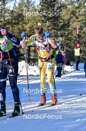 06.03.2022, Mora, Sweden (SWE): Emil Persson (SWE) - Visma Ski Classics Vasaloppet, Mora (SWE). www.nordicfocus.com. © Reichert/NordicFocus. Every downloaded picture is fee-liable.
