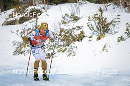 26.03.2022, Valadalen, Sweden (SWE): Axel Jutterstroem (SWE) - Visma Ski Classics Arefjaellsloppet, Valadalen (SWE). www.nordicfocus.com. © Manzoni/NordicFocus. Every downloaded picture is fee-liable.