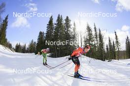 26.03.2022, Valadalen, Sweden (SWE): Andrew Musgrave (GBR) - Visma Ski Classics Arefjaellsloppet, Valadalen (SWE). www.nordicfocus.com. © Manzoni/NordicFocus. Every downloaded picture is fee-liable.