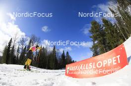 26.03.2022, Valadalen, Sweden (SWE): Max Novak (SWE) - Visma Ski Classics Arefjaellsloppet, Valadalen (SWE). www.nordicfocus.com. © Manzoni/NordicFocus. Every downloaded picture is fee-liable.