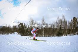 26.03.2022, Valadalen, Sweden (SWE): Viktor Maeenpaeae (SWE) - Visma Ski Classics Arefjaellsloppet, Valadalen (SWE). www.nordicfocus.com. © Manzoni/NordicFocus. Every downloaded picture is fee-liable.