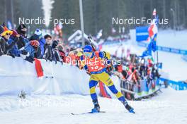 07.01.2023, Pokljuka, Slovenia (SLO): Jesper Nelin (SWE) - IBU World Cup Biathlon, pursuit men, Pokljuka (SLO). www.nordicfocus.com. © Manzoni/NordicFocus. Every downloaded picture is fee-liable.