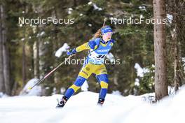 21.01.2023, Antholz, Italy (ITA): Mona Brorsson (SWE) - IBU World Cup Biathlon, pursuit women, Antholz (ITA). www.nordicfocus.com. © Manzoni/NordicFocus. Every downloaded picture is fee-liable.