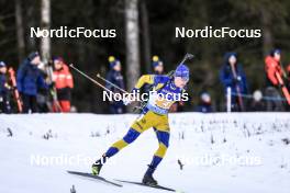 11.03.2023, Oestersund, Sweden, (SWE): Martin Ponsiluoma (SWE) - IBU World Cup Biathlon, relay men, Oestersund (SWE). www.nordicfocus.com. © Manzoni/NordicFocus. Every downloaded picture is fee-liable.