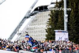 18.03.2023, Oslo, Norway (NOR): Tommaso Giacomel (ITA) - IBU World Cup Biathlon, pursuit men, Oslo (NOR). www.nordicfocus.com. © Manzoni/NordicFocus. Every downloaded picture is fee-liable.