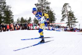 18.03.2023, Oslo, Norway (NOR): Jesper Nelin (SWE) - IBU World Cup Biathlon, pursuit men, Oslo (NOR). www.nordicfocus.com. © Manzoni/NordicFocus. Every downloaded picture is fee-liable.