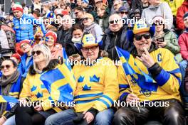 18.03.2023, Oslo, Norway (NOR): Event Feature: Swedish fans on the grandstand - IBU World Cup Biathlon, pursuit men, Oslo (NOR). www.nordicfocus.com. © Manzoni/NordicFocus. Every downloaded picture is fee-liable.