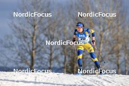 18.03.2023, Oslo, Norway (NOR): Sara Andersson (SWE) - IBU World Cup Biathlon, sprint women, Oslo (NOR). www.nordicfocus.com. © Manzoni/NordicFocus. Every downloaded picture is fee-liable.