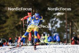 18.03.2023, Oslo, Norway (NOR): Ella Halvarsson (SWE) - IBU World Cup Biathlon, sprint women, Oslo (NOR). www.nordicfocus.com. © Manzoni/NordicFocus. Every downloaded picture is fee-liable.