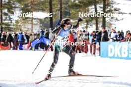 18.03.2023, Oslo, Norway (NOR): Dorothea Wierer (ITA) - IBU World Cup Biathlon, sprint women, Oslo (NOR). www.nordicfocus.com. © Manzoni/NordicFocus. Every downloaded picture is fee-liable.