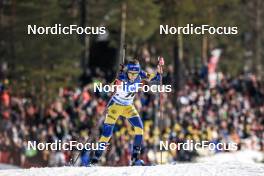18.03.2023, Oslo, Norway (NOR): Sara Andersson (SWE) - IBU World Cup Biathlon, sprint women, Oslo (NOR). www.nordicfocus.com. © Manzoni/NordicFocus. Every downloaded picture is fee-liable.