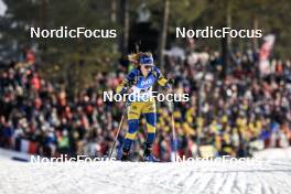 18.03.2023, Oslo, Norway (NOR): Mona Brorsson (SWE) - IBU World Cup Biathlon, sprint women, Oslo (NOR). www.nordicfocus.com. © Manzoni/NordicFocus. Every downloaded picture is fee-liable.