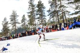 18.03.2023, Oslo, Norway (NOR): Baiba Bendika (LAT) - IBU World Cup Biathlon, sprint women, Oslo (NOR). www.nordicfocus.com. © Manzoni/NordicFocus. Every downloaded picture is fee-liable.