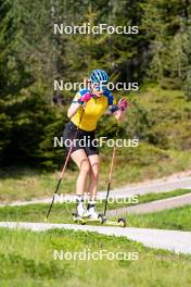 08.06.2023, Lavaze, Italy (ITA): Hanna Oeberg (SWE) - Biathlon summer training, Lavaze (ITA). www.nordicfocus.com. © Barbieri/NordicFocus. Every downloaded picture is fee-liable.