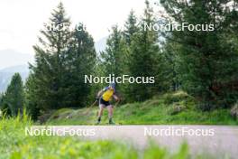08.06.2023, Lavaze, Italy (ITA): Johanna Skottheim (SWE) - Biathlon summer training, Lavaze (ITA). www.nordicfocus.com. © Barbieri/NordicFocus. Every downloaded picture is fee-liable.
