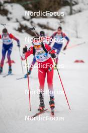 31.03.2023, Bessans, France (FRA): Nans Madelenat (FRA) - French Championships biathlon, mass, Bessans (FRA). www.nordicfocus.com. © Authamayou/NordicFocus. Every downloaded picture is fee-liable.