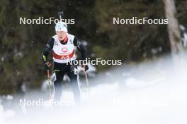 25.03.2023, Ulrichen, Switzerland (SUI): Laurin Merz (SUI) - Swiss Championships biathon, mass, Ulrichen (SUI). www.nordicfocus.com. © Manzoni/NordicFocus. Every downloaded picture is fee-liable.
