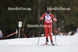 25.03.2023, Ulrichen, Switzerland (SUI): Lara Berwert (SUI) - Swiss Championships biathon, mass, Ulrichen (SUI). www.nordicfocus.com. © Manzoni/NordicFocus. Every downloaded picture is fee-liable.