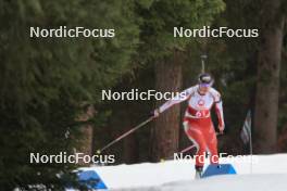 25.03.2023, Ulrichen, Switzerland (SUI): Lena Haecki-Gross (SUI) - Swiss Championships biathon, mass, Ulrichen (SUI). www.nordicfocus.com. © Manzoni/NordicFocus. Every downloaded picture is fee-liable.