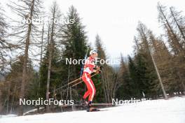 24.03.2023, Ulrichen, Switzerland (SUI): Loris Maier (SUI) - Swiss Championships biathon, sprint, Ulrichen (SUI). www.nordicfocus.com. © Manzoni/NordicFocus. Every downloaded picture is fee-liable.