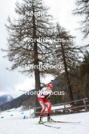 24.03.2023, Ulrichen, Switzerland (SUI): Valentin Dauphin (SUI) - Swiss Championships biathon, sprint, Ulrichen (SUI). www.nordicfocus.com. © Manzoni/NordicFocus. Every downloaded picture is fee-liable.